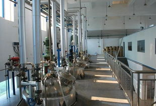 華康生物技術開發圖冊 創新引領生物科技發展